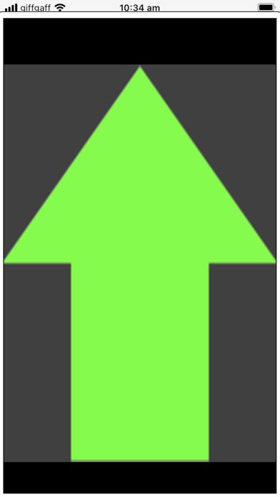 Accessible Simon iOS