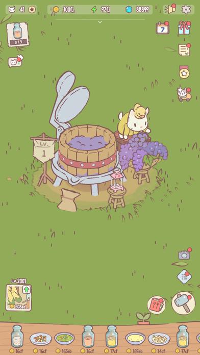 Cats&Soup iOS