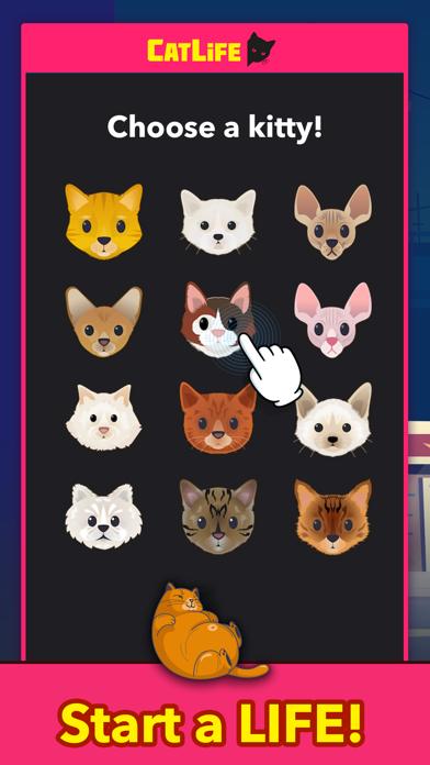 CatLife - BitLife Cat Game iOS