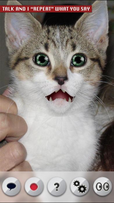Talking Cat iOS