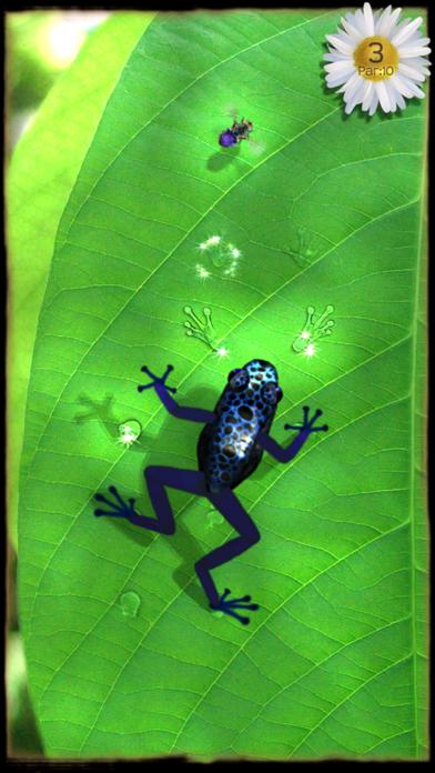 Ancient Frog iOS