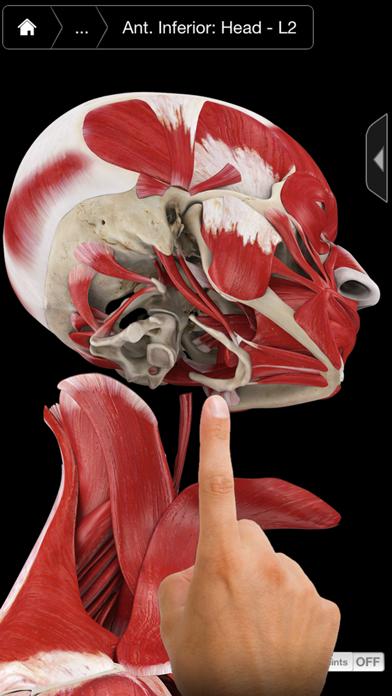 Muscle System Pro III iOS