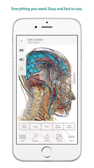 Human Anatomy Atlas – 3D Anatomical Model of the Human Body iOS