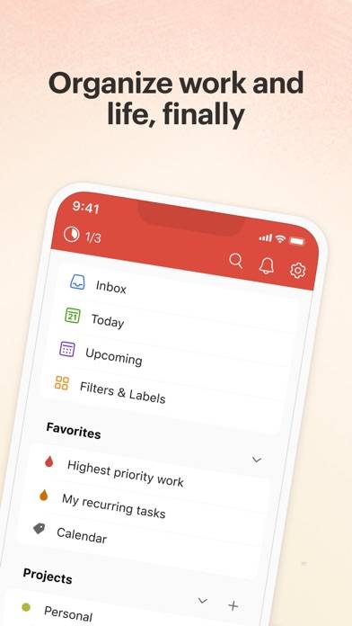 Todoist: To-Do List & Tasks iOS