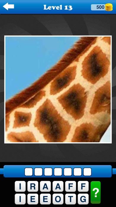 Whats The Close Up? iOS