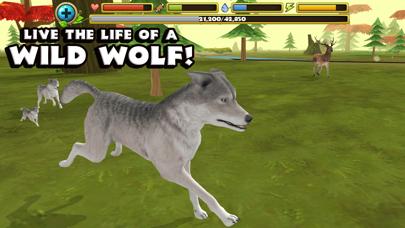 Wildlife Simulator: Wolf iOS