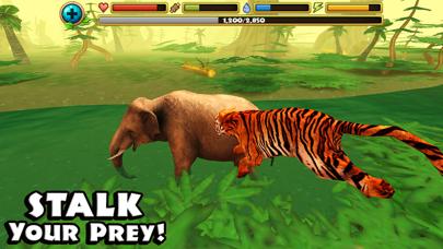 Tiger Simulator iOS