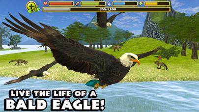 Eagle Simulator iOS