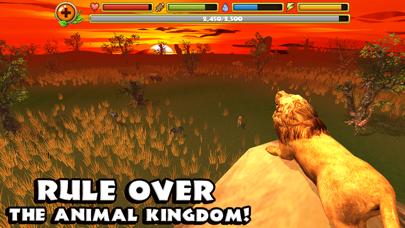 Safari Simulator: Lion iOS