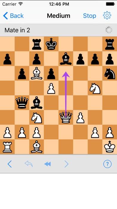 Chess Tactics Pro (Puzzles) iOS
