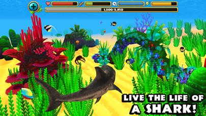 Wildlife Simulator: Shark iOS