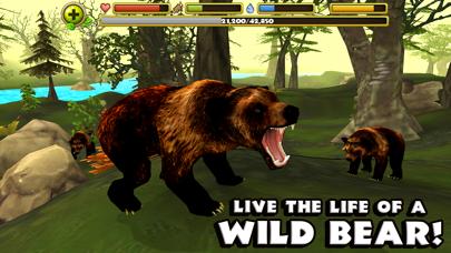 Wildlife Simulator: Bear iOS