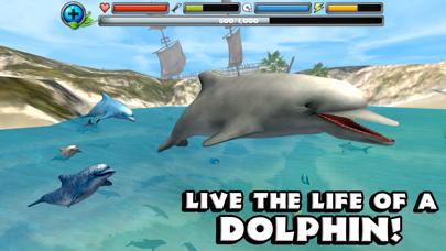 Dolphin Simulator iOS