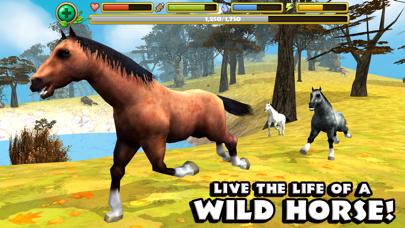 Wild Horse Simulator iOS