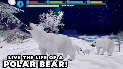 Polar Bear Simulator iOS
