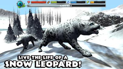 Snow Leopard Simulator iOS