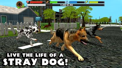 Stray Dog Simulator iOS