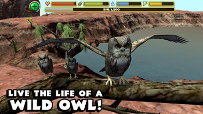 Owl Simulator iOS