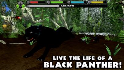 Panther Simulator iOS
