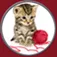 Funny cats for kids ios icon