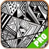 Game Pro  Black and White 2 Version