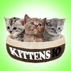 Kittens IO App Icon