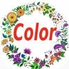 Coloring Book & IFunny Pics for adults and kids App Icon