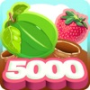 Berry 5000 App Icon