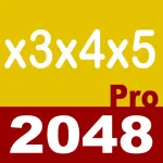 2048 3x4x5 Pro App Icon