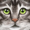 Ultimate Cat Simulator iOS icon