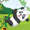 Mr Panda Bear Pop And Hop (Pro) App Icon