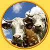 Farm animals of my kids App Icon