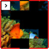 PuzzleU App Icon
