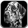 Dog games for kids free: 2-6 year old boys & girls App Icon