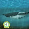 Whale Survival Simulator 3D Full App Icon