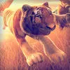 Tiger World | Tigers Simulator Racing Game For Kids App Icon