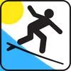 Pro Surf 3D App icon