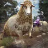 Sheep Simulator | Sheep Game For Little Kids App Icon