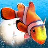 My Sea Fish Adventure | Pro Fish Swimming Game 3D App icon
