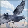 Bird Survival | Wing Sky Fly Tiny Simulator Game For Pros App icon