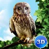 Forest Owl Simulator Full App Icon