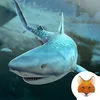 Arctic Shark: The Age of Fun Hungry Carnivores App icon