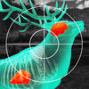 Wild Hunt: Hunting Simulator App Icon