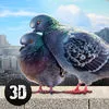 Pigeon Bird Survival Simulator 3D 2 Full App Icon