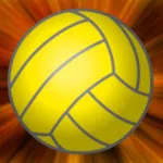 Volleyball Pong 2 Player ios icon