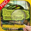 Dragon War Age App icon