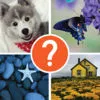 4 Pic 1 Word Thinking Game Word Guess the Picture. ios icon
