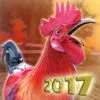 Chicken Day PRO . Farm Chick Runner 2017 App icon