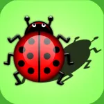 Puzzles shadow. Little bugs. Educational game App Icon