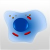 Cell Biology 101 App icon